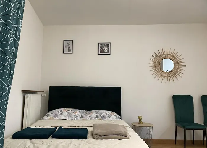 Magnifique Appartement Metz Centre