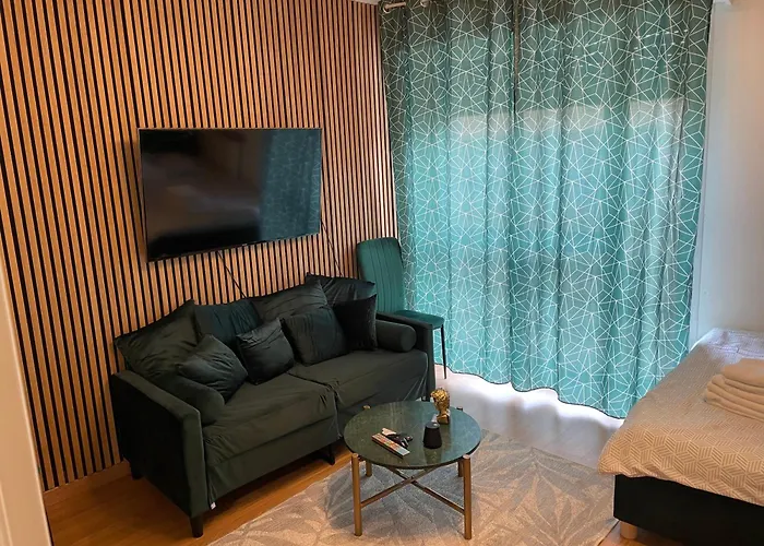 Magnifique Appartement Metz Centre