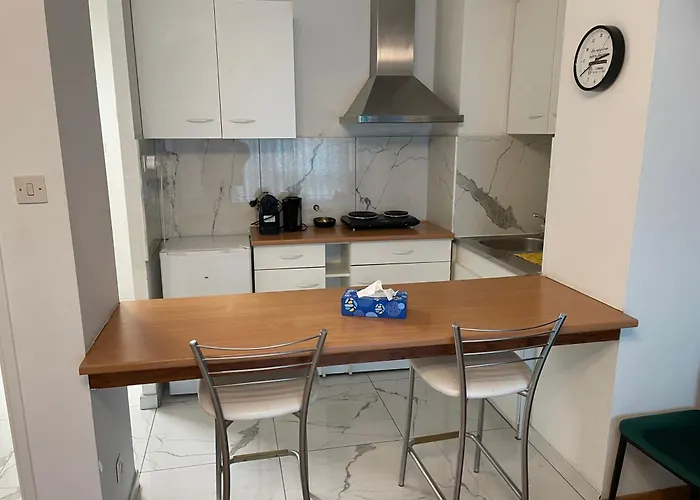 Magnifique Appartement Metz Centre